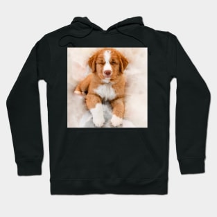 sheepdog puppy Hoodie